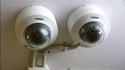 article